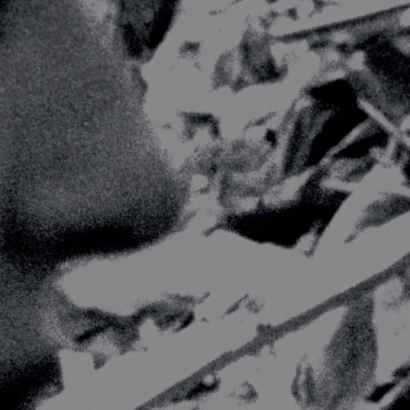 Black Angel Drifter 8mm film music promo